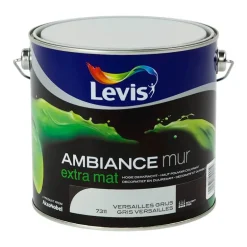 Ambiance mur versailles grijs 2,5 L