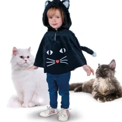 Cape Zwarte Kat