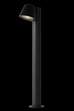 Dingo led paaltje