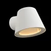 Dingo wandlicht