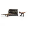 Dinosaurus