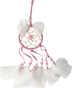 Dream catcher roos