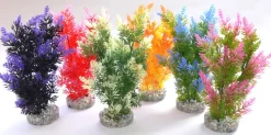 Fiesta bush 22 cm