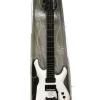 gitaar Bob