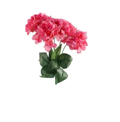 Hortensia Imani