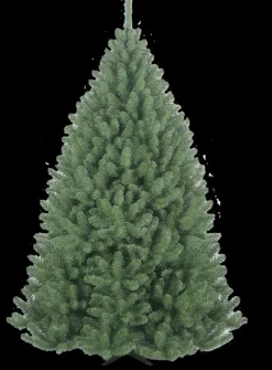 Kerstboom Belleridge 150cm