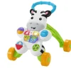 Loop met mij zebra NL