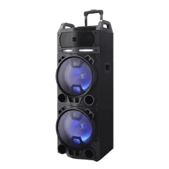 Mobiele installatie met 2x draadloze microfoon 800W