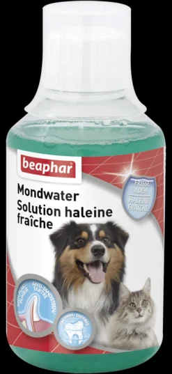 Mondwater 250 ml
