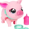 MY PET PIG