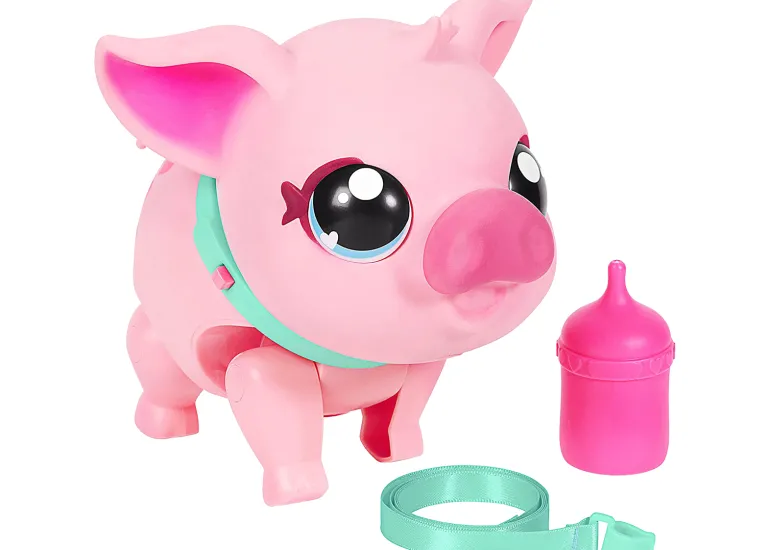MY PET PIG