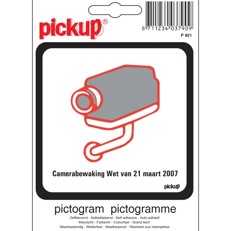 Pictogram camerabewaking 10 x 10 cm