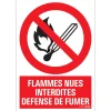 Pictogram flammes nues 23 x 33 cm