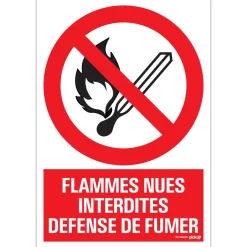 Pictogram flammes nues 23 x 33 cm