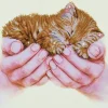 Precious Kitten Diamond Dotz