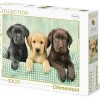 Puzzle 1000 Drie Labradors