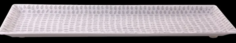 Schaal 55 x 18 cm