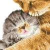 Tender Moment Diamond Dotz