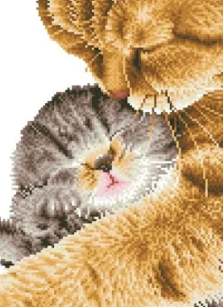 Tender Moment Diamond Dotz